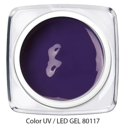 Color Gel dunkles lila 80117