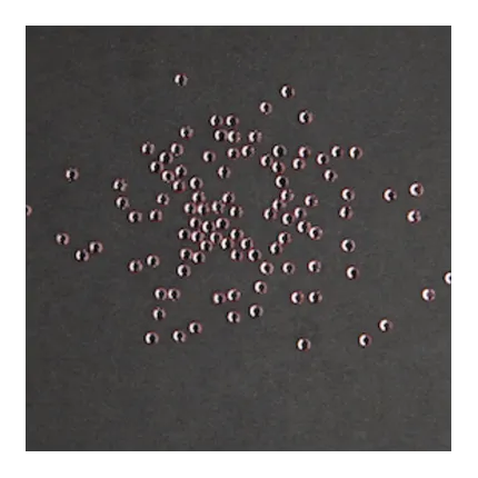 Swarovski-Straßsteine – Hellrosa