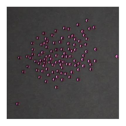 Swarovski-Straßsteine – Fuchsia
