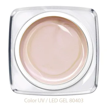 Color Gel - muschel creme lila - 80403