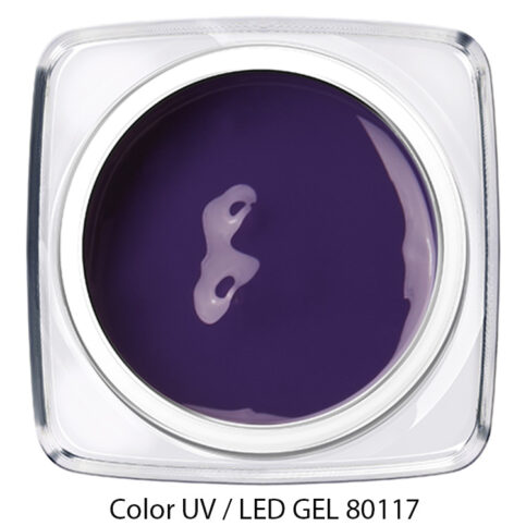 Color Gel dunkles lila 80117