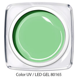 Color Gel puder grün 80165