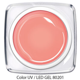 Color Gel – kräftiges rosa beige 80201