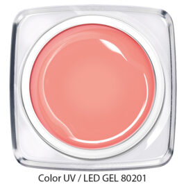 Color Gel - kräftiges rosa beige 80201