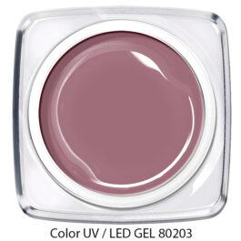 Color Gel – taupe lila 80203