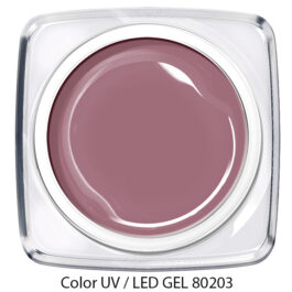 Color Gel - taupe lila 80203