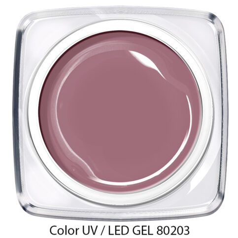 Color Gel - taupe lila 80203