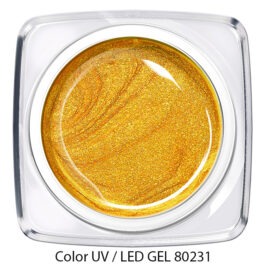 Color Gel 80231