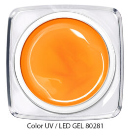 Color Gel 80281