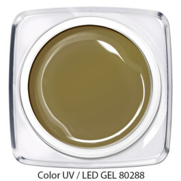 Color Gel 80288