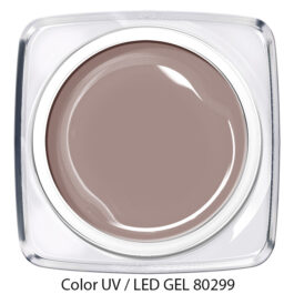 Color Gel 80299