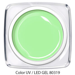 Color Gel pastell mint grün 80319