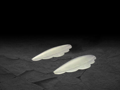 Curling Pad's White - S