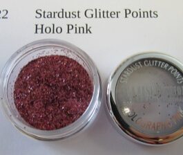 Stardust Glitter Holo pink  2 g